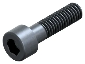 Cylindrical head socket cap screws